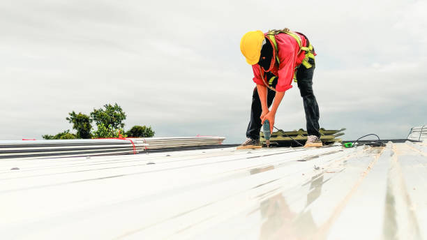 Best Steel Roofing  in Calverton, MD