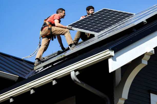 Best Roof Moss and Algae Removal  in Calverton, MD